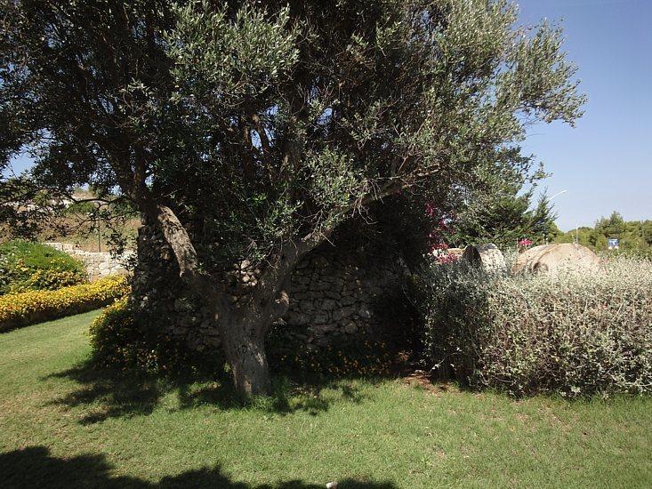 Villa Villa La Torre *